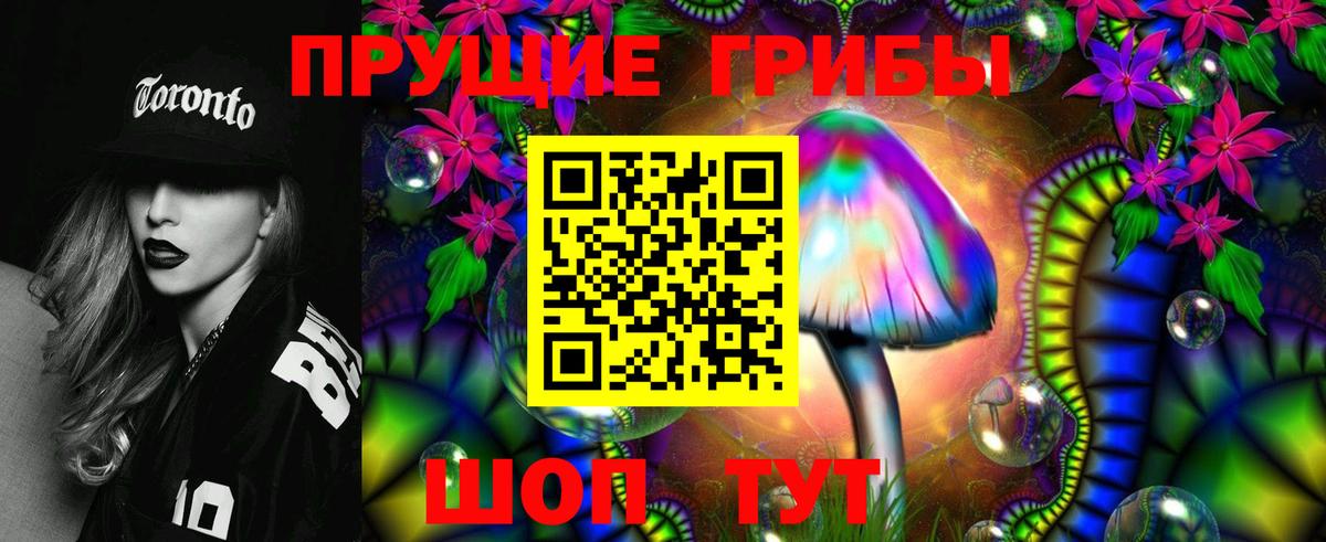 Галлюциногенные грибы Psilocybe  Псилоцибиновые грибы прущие грибы  Лиски  Вход с VPN 