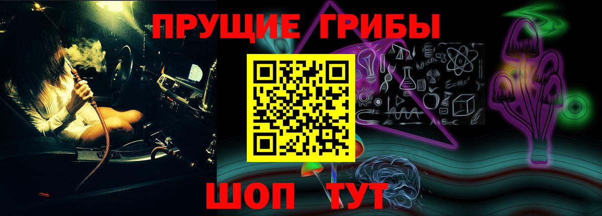 Псилоцибиновые грибы Psilocybe Лиски